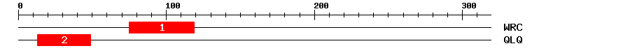Signature Domain