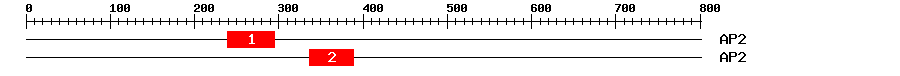 Signature Domain