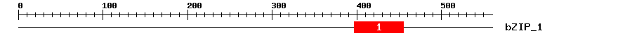 Signature Domain