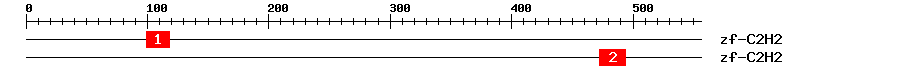 Signature Domain