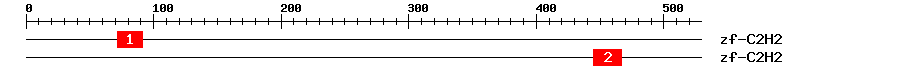 Signature Domain