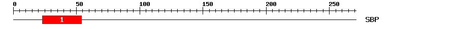 Signature Domain