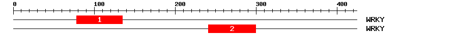 Signature Domain
