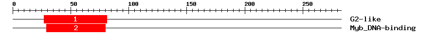 Signature Domain