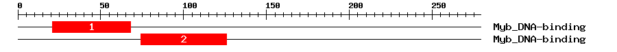 Signature Domain