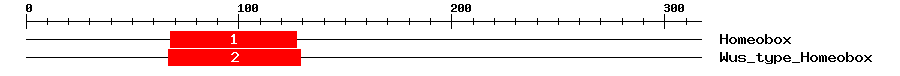 Signature Domain