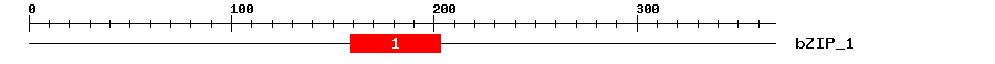 Signature Domain