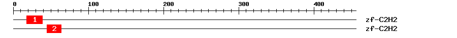 Signature Domain