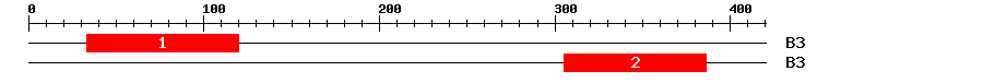 Signature Domain
