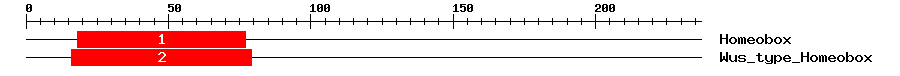 Signature Domain