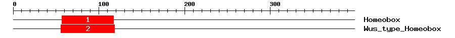 Signature Domain