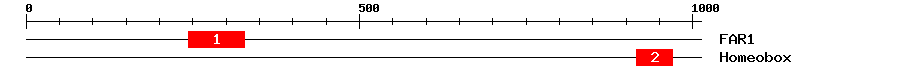 Signature Domain
