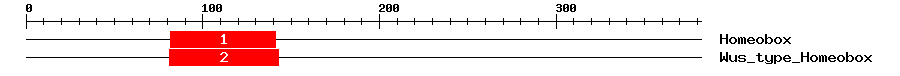 Signature Domain
