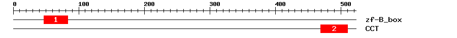 Signature Domain