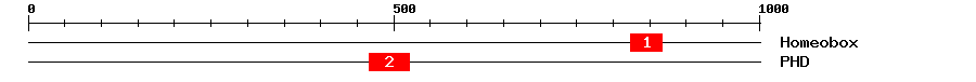 Signature Domain