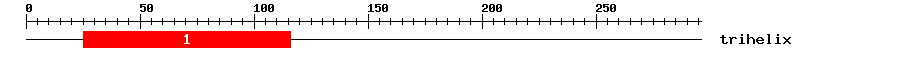 Signature Domain