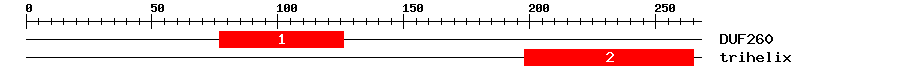 Signature Domain