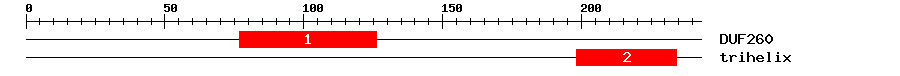 Signature Domain