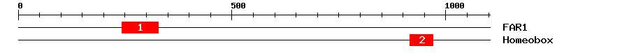 Signature Domain