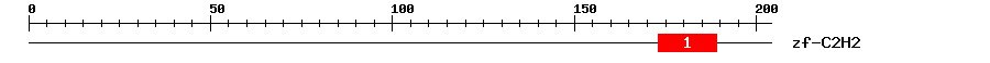 Signature Domain
