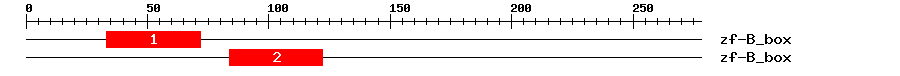 Signature Domain
