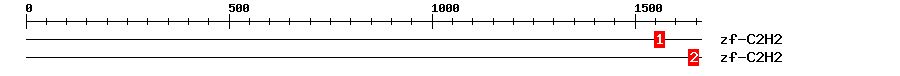 Signature Domain
