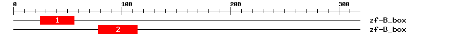 Signature Domain