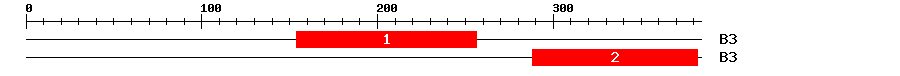 Signature Domain