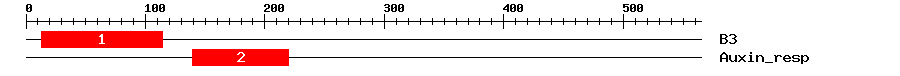 Signature Domain