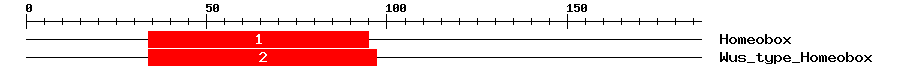 Signature Domain