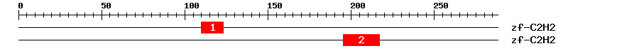 Signature Domain