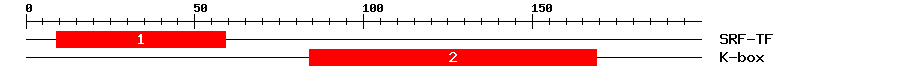 Signature Domain