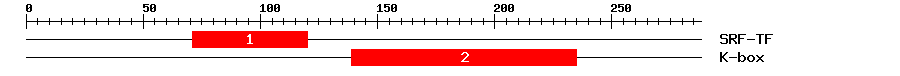 Signature Domain