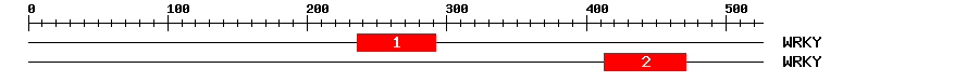 Signature Domain