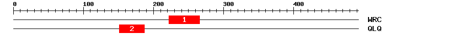 Signature Domain