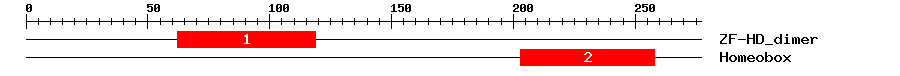 Signature Domain