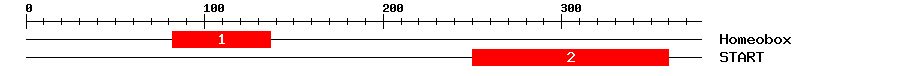 Signature Domain