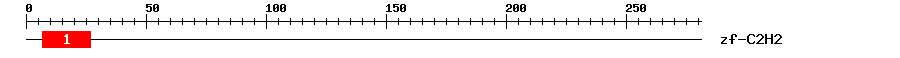 Signature Domain