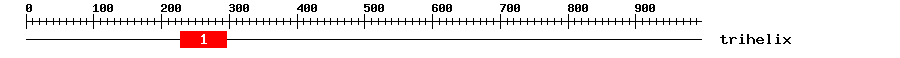 Signature Domain