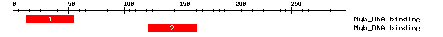 Signature Domain