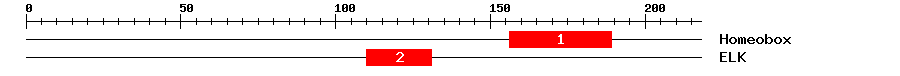 Signature Domain