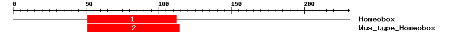 Signature Domain