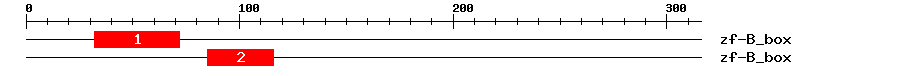Signature Domain