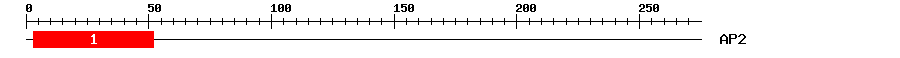 Signature Domain