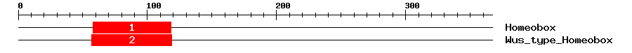 Signature Domain