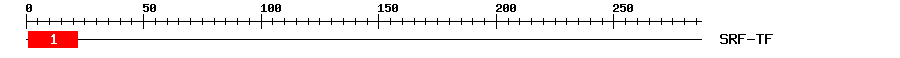 Signature Domain