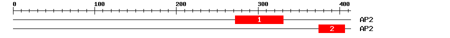 Signature Domain