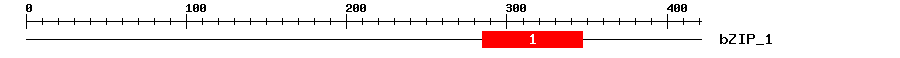 Signature Domain