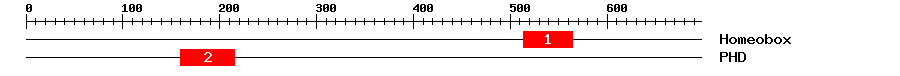 Signature Domain