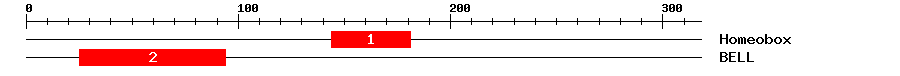 Signature Domain